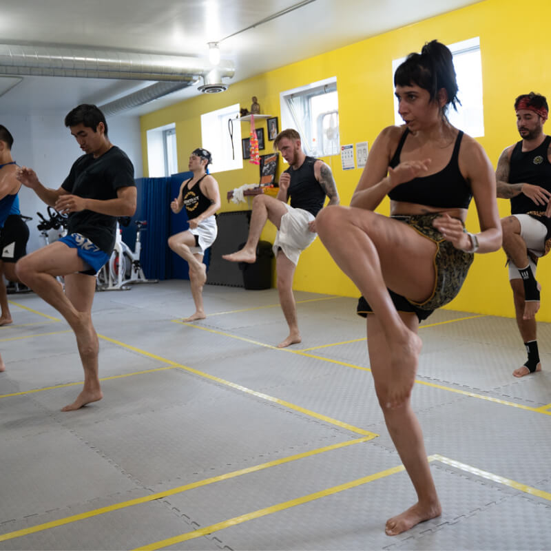 Montrait Muay Thai – Advanced Program