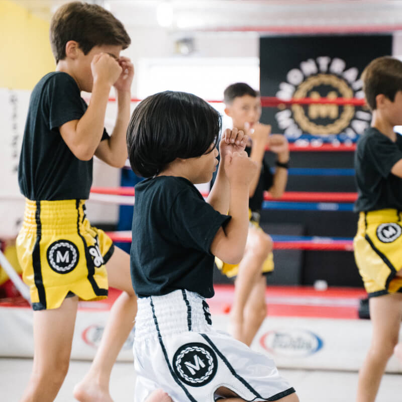 Montrait Muay Thai – Kids Program