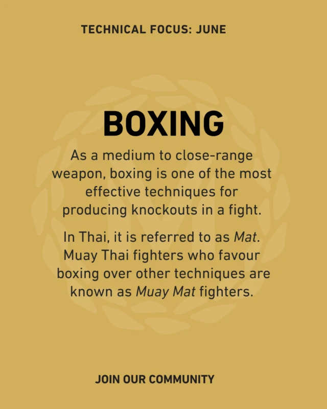 This month we're laser-focused on BOXING at MMT 🥊

While our classes will still cover the full range of Muay Thai weapons, this dedicated approach lets our students really zone in and master the details that matter.

Students, alumni, and fellow nak muay — what's your best tip for nailing this technique? Drop it below! 👇