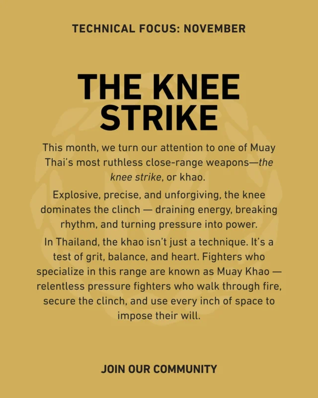 This month we’re laser-focused on THE KNEE STRIKE at MMT 🥊

While our classes will still cover the full range of Muay Thai weapons, this dedicated approach lets our students really zone in and master the details that matter.